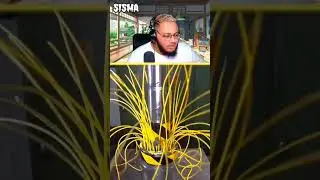 Ep 2 Montage dr&ocirc;le 🤣😂#pourtoi  #sismaedit #sisma  #drole #drolevideo #humour #viralvideo