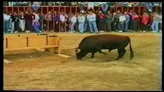 1996 04 13 ONDA PASCUA TAURINA CONCURSO DE TOROS FRANCISCO DIAGO EUGENIO SOLA CARLOS DOMENECH GERMAN