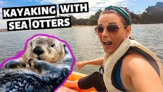 Kayaking With Sea Otters // Moss Landing, California // Pacific Coast Highway Road Trip