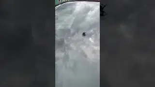 Alien spiders