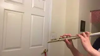Pirates of the Caribbean Medley Flute - Michael Sweeney