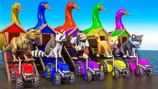 Long Slide Game With Cow Elephant Gorilla Hippopotamus Spider 3D Animal Game Funny 3D Animals