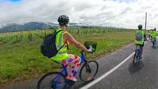Wine Tasting and Bike Riding in Marlborough, New Zealand- just outside of Picton! Amazing tour!