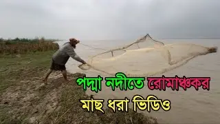 গ্রামের মানুষের পরিশ্রম/ পদ্মার পানিতে মাছ ধরার বাস্তব দৃশ্য #fishinglife #riverfishing #fish