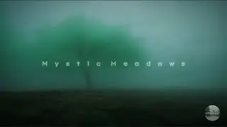 𝗠𝘆𝘀𝘁𝗶𝗰 𝗠𝗲𝗮𝗱𝗼𝘄𝘀: 𝗪𝗵𝗶𝘀𝗽𝗲𝗿𝗶𝗻𝗴 𝗪𝗶𝗻𝗱𝘀 🌿🍃