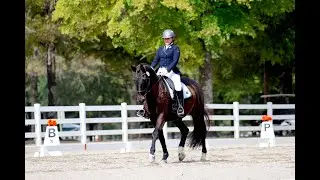 McKenna Sykora on Westbrook 08.31.25 Third Level, Test 3 at Regionals 66.125% - First Place