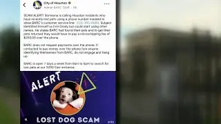Scammers mask Houston&rsquo;s BARC shelter phone number, demand money for release of missing pets