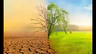 The Water Crisis: A Silent Global Emergency