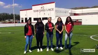 Proyecto Social Ecoloco
