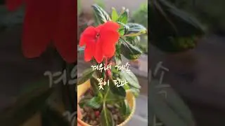 #산파첸스#힘을내세요#이찬원