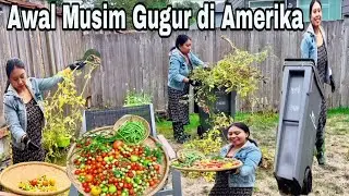 Kegiatan Emak-Emak di Awal Musim Gugur | PNW Life 🍂🍁🍃