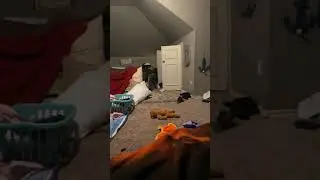 Landyn Scott York&rsquo;s funny memes