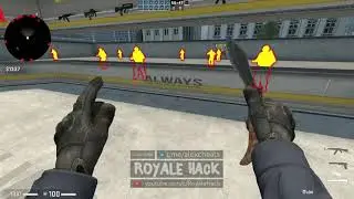 How To Download And Use Insanity cheats FREE | 2021 August