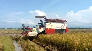 Combine nya pada kumpul siap tempur 