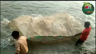 Underground Big Fish Catching | Fishing With Chicken Meat | Top Trending Fishing Video 20201