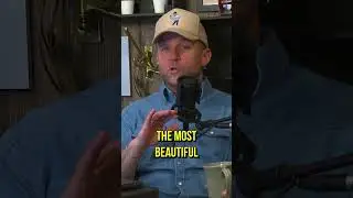 🌻💐Where Are all the Wildflowers? It's Dry in Texas!  #podcast