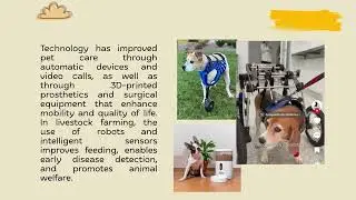How has Technology influenced the lives of animals?