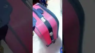 decent bag viral video