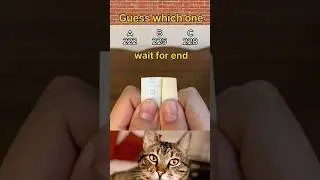 wait for end 😞#challenge #shorts #viral #tranding #bombastic