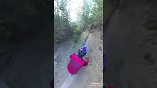 20250113 뉴질랜드 로토루아 MTB 파크 Park Split enz 민호