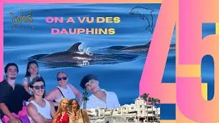 ON A VU DES DOLPHINS LA TEAM !!!!!!!!!! 🐬