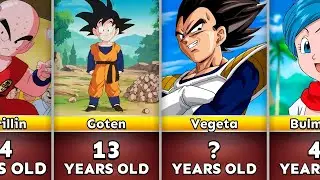Age Of Dragon Ball Characters