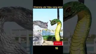 siluman ular hijau ngamuk #narasifilm #shorts #shortvideo #viral