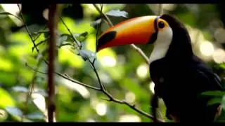 2014 FIFA World Cup Brasil Commercial by ESPN - The World Cup Comes Home