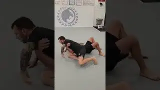 Koshi Garuma and Tani Otoshi with Professor Alex Henley from Insight BJJ Bastrop Tx
