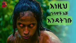 እነዚህ ጎሳዋች እጅ የገባ ከ1000 በላይ ህዝብ ባለበት... / አጤሬራ ትርጉም ፊልም | film wedaj in amharic aterera | film treka