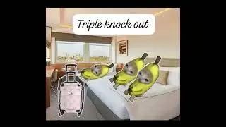 Episode 2 The journey ultimate catube 