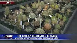 Celebrating 80 years with Desert Botanical Garden