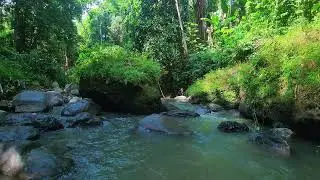 River ASMR Sounds &ndash; Peppergrass Run &mdash; water only, no birds.