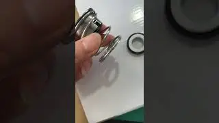Single spring water pump seal