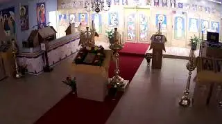 St Luke The Blessed Surgeon Russian Orthodox Church Live Stream. Archpriest Vasily Zelenyuk.