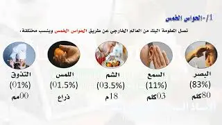 @06-كيف يتعلم الإنسان_رحلة داخل عقل المتدرب