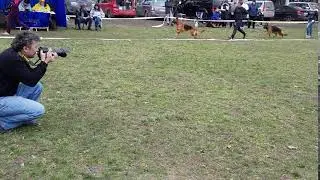 20180317 160233