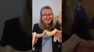 Kleine Brüste! Was musst du beachten beim BH Kauf
