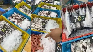 اسعار واسماء السمك  بالجزائر \سوق السمك اليوم  ميناء زموري مسمكة خوجة الجزائر 