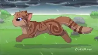 Warrior cats ~ In the Rain MAP part 2