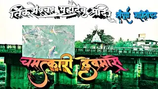 तिळसेश्वर महादेव मंदिर आणि चमत्कारिक देवमासे | Tilase, wada, Palghar | तिळसे ता. वाडा जि. पालघर