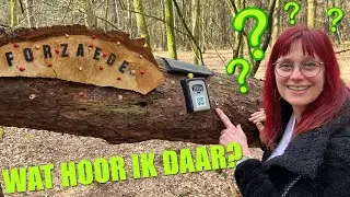 Geo-oordeel: Hoe ik de Geocache opspoorde door alleen te luisteren!