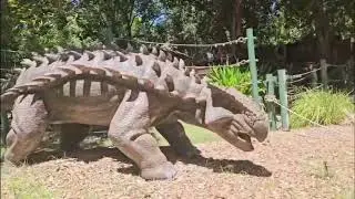 A day at the Zoo by Dave H 2025