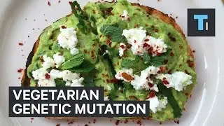 Vegetarian genetic mutation