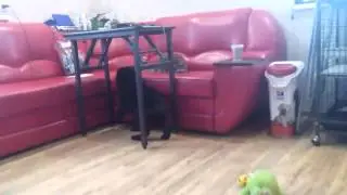 VID 20151106 133004