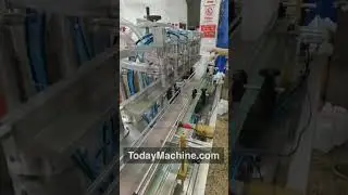 Automatic high speed anti corrosion 500ml 1L chlorine bleach liquid detergent filling machine