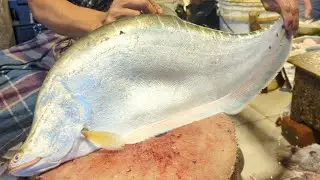 Big Clown Knifefish Cleaning & Cutting In Fish Market | Chitol Fish Cutting Skills