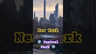 #ice #centralpark #newyork #usa #america #beauty #new #сша #shortvideo #shortsvideo #америка #каток