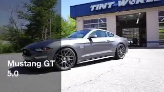 Mustang GT Matte Black Racing Stripes with Gloss Red Pin Stripes