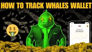 Discover the BEST Crypto Whales Wallet Tracking Strategies in 2025!